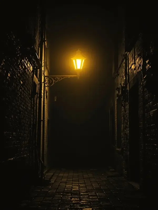 深巷灯影 - 秋霞电影网 深巷灯影 电影海报 老街路灯